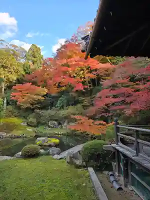 青蓮院門跡(京都府)