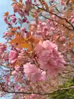 厚別神社(北海道)