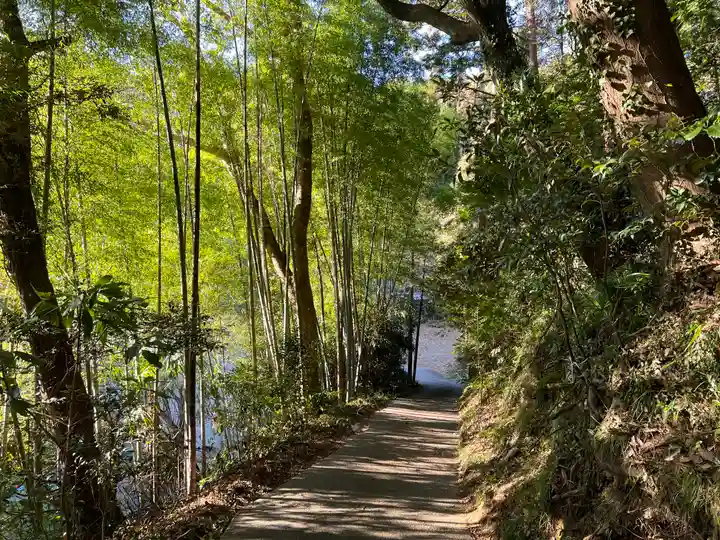 大國魂神社の自然