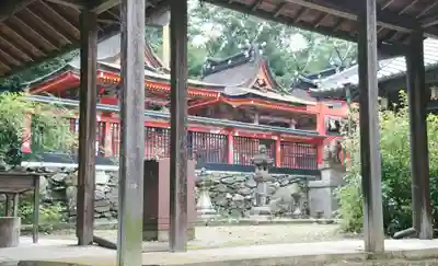 丹生官省符神社の本殿・本堂