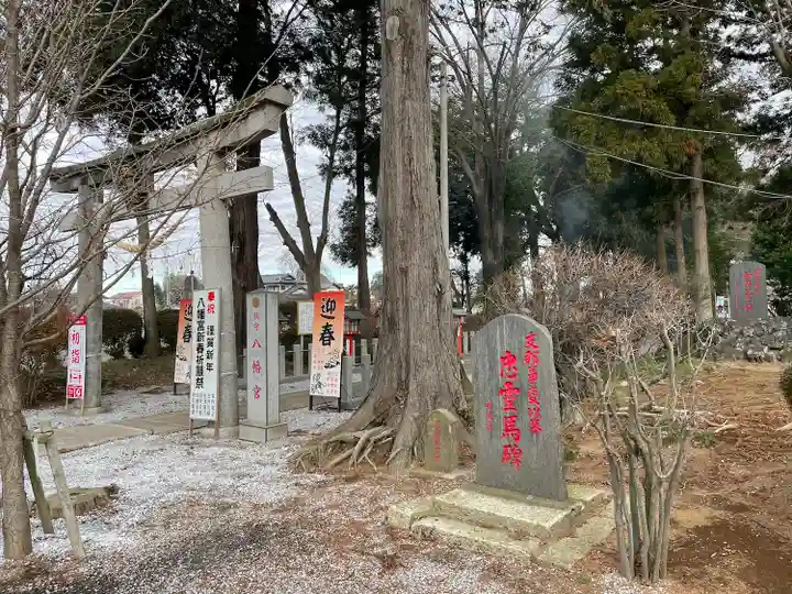 天狗山雷電神社の周辺