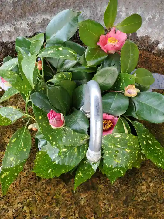 愛宕神社(福島県)