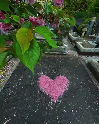 普賢寺のその他建物