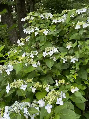長野縣護國神社(長野県)