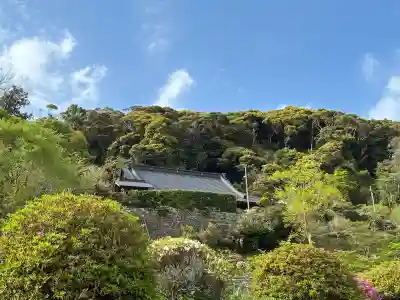 智蔵寺の{uncategorized: "未分類", other: "その他", undefined: "問題あり", building: "その他建物", grave: "お墓", sacred_gate: "鳥居", guardian: "狛犬", statue: "像", buddha: "仏像", history: "歴史", nature: "自然", garden: "庭園", animal: "動物", pagoda: "塔", temizu: "手水舎", mountain_gate: "山門・神門", sanctuary: "本殿・本堂", subordinate: "末社・摂社", art: "芸術", scenery: "景色", jizo: "地蔵", ema: "絵馬", goshuin: "御朱印", omikuji: "おみくじ", items: "授与品その他", amulet: "お守り", goshuincho: "御朱印帳", eats: "食事", festival: "お祭り", votive_dance: "神楽", shichigosan: "七五三参", wedding: "結婚式", experience: "体験その他", initially: "初詣", around: "周辺", anti_infection: "感染症対策"}