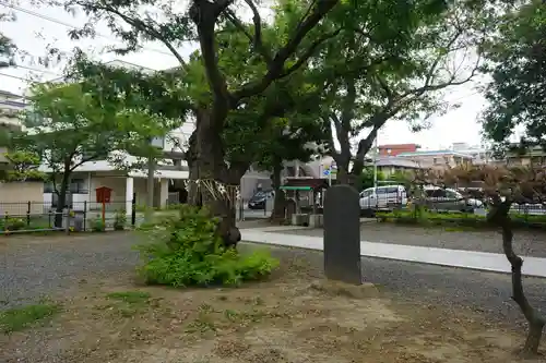 湊新田胡録神社の自然