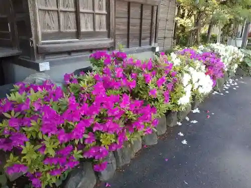 圓乗院のその他建物