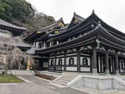 長谷寺の本殿・本堂