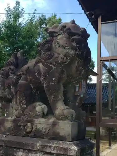 本折日吉神社の狛犬