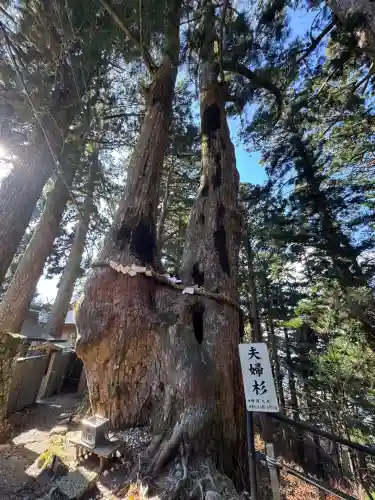 玉置神社(奈良県)
