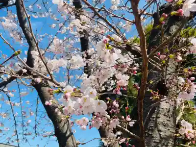 勝速日神社の{uncategorized: "未分類", other: "その他", undefined: "問題あり", building: "その他建物", grave: "お墓", sacred_gate: "鳥居", guardian: "狛犬", statue: "像", buddha: "仏像", history: "歴史", nature: "自然", garden: "庭園", animal: "動物", pagoda: "塔", temizu: "手水舎", mountain_gate: "山門・神門", sanctuary: "本殿・本堂", subordinate: "末社・摂社", art: "芸術", scenery: "景色", jizo: "地蔵", ema: "絵馬", goshuin: "御朱印", omikuji: "おみくじ", items: "授与品その他", amulet: "お守り", goshuincho: "御朱印帳", eats: "食事", festival: "お祭り", votive_dance: "神楽", shichigosan: "七五三参", wedding: "結婚式", experience: "体験その他", initially: "初詣", around: "周辺", anti_infection: "感染症対策"}