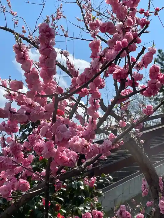 福島大神宮(北海道)