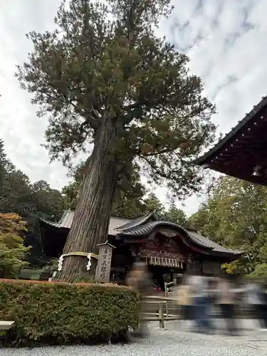 北口本宮冨士浅間神社(山梨県)