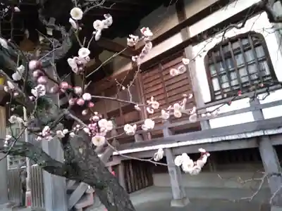 萬福寺(神奈川県)