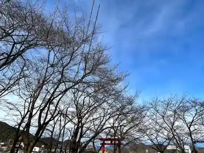 子檀嶺神社(長野県)