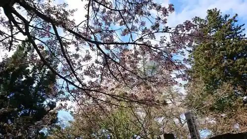 円通三匝堂（さざえ堂）の自然