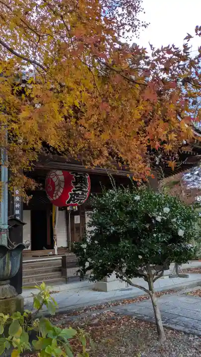 柳谷観音 楊谷寺(京都府)