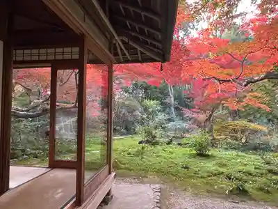 厭離庵(京都府)