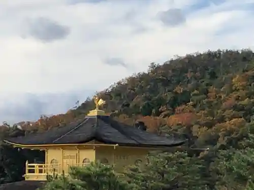 東寺（教王護国寺）の景色