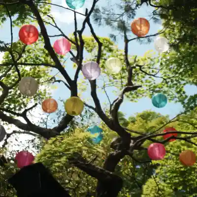 柳谷観音　楊谷寺(京都府)