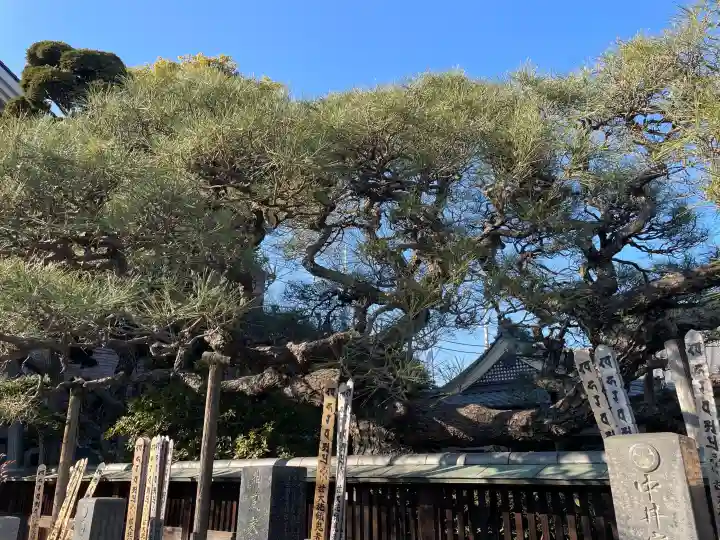 神宮寺の{uncategorized: "未分類", other: "その他", undefined: "問題あり", building: "その他建物", grave: "お墓", sacred_gate: "鳥居", guardian: "狛犬", statue: "像", buddha: "仏像", history: "歴史", nature: "自然", garden: "庭園", animal: "動物", pagoda: "塔", temizu: "手水舎", mountain_gate: "山門・神門", sanctuary: "本殿・本堂", subordinate: "末社・摂社", art: "芸術", scenery: "景色", jizo: "地蔵", ema: "絵馬", goshuin: "御朱印", omikuji: "おみくじ", items: "授与品その他", amulet: "お守り", goshuincho: "御朱印帳", eats: "食事", festival: "お祭り", votive_dance: "神楽", shichigosan: "七五三参", wedding: "結婚式", experience: "体験その他", initially: "初詣", around: "周辺", anti_infection: "感染症対策"}