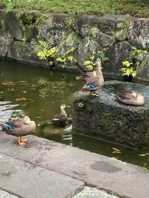 西新井大師総持寺(東京都)