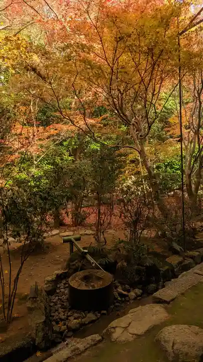 龍安寺(京都府)