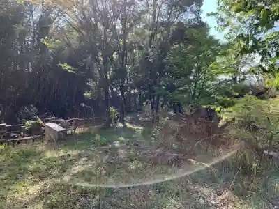 白山権現・弁財天の自然