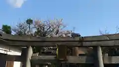 安楽寺天満宮の鳥居