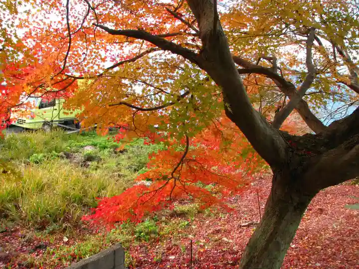 市神神社濱宮(滋賀県)