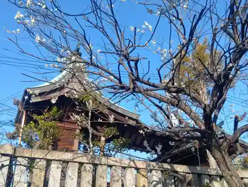 穴太部神社(岐阜県)