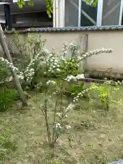 秩父札所十三番 慈眼寺(埼玉県)