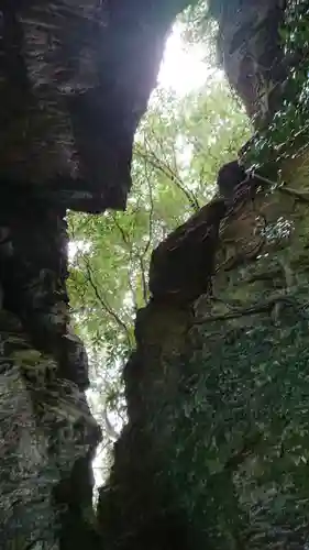 白山神社の自然