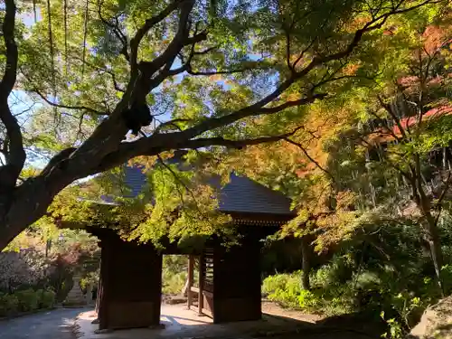 普門寺(切り絵御朱印発祥の寺)(愛知県)
