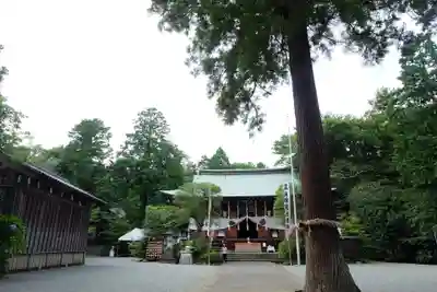 比々多神社(神奈川県)