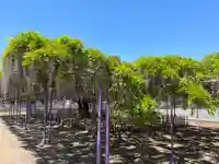 三学院(埼玉県)