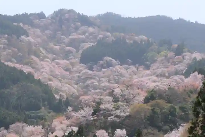 𠮷水神社(吉水神社)の景色