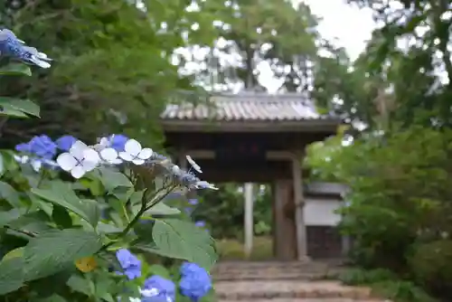 龍潭寺の山門