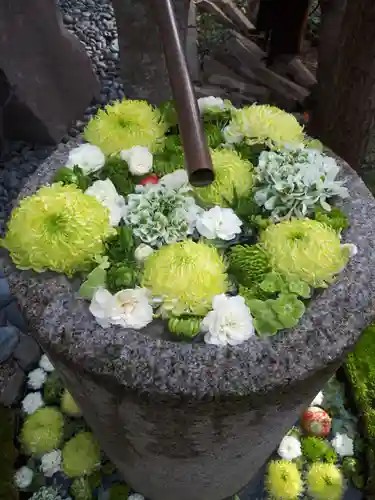 行田八幡神社の庭園