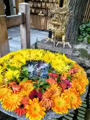 白山神社(新潟県)