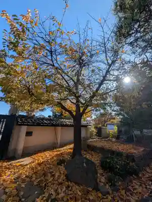 芳林寺(埼玉県)