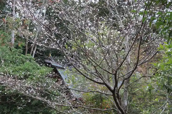 開成山大神宮の自然