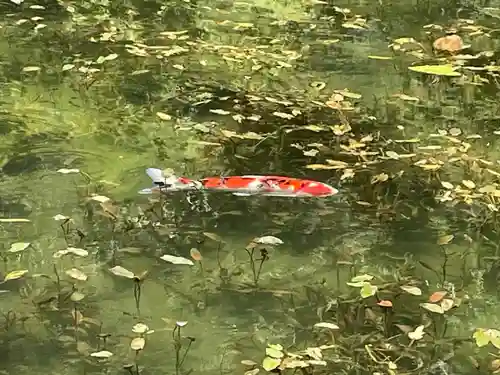 根道神社(岐阜県)