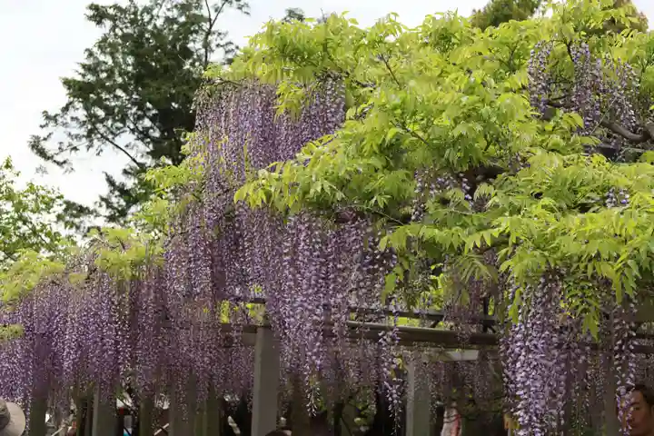 三大神社(滋賀県)