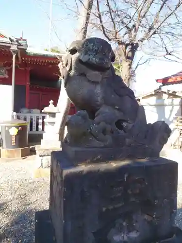 （芝生）浅間神社の狛犬