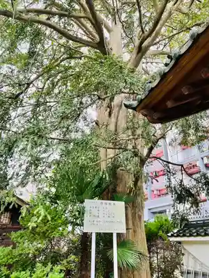 大林寺(宮城県)