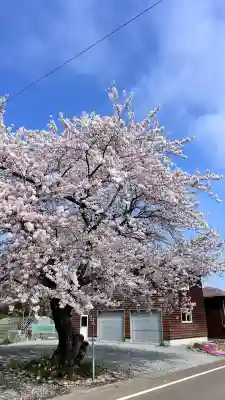 雷公神社(北海道)