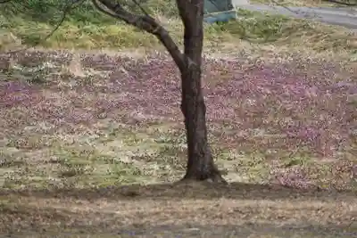 阿久津「田村神社」（郡山市阿久津町）旧社名：伊豆箱根三嶋三社の周辺