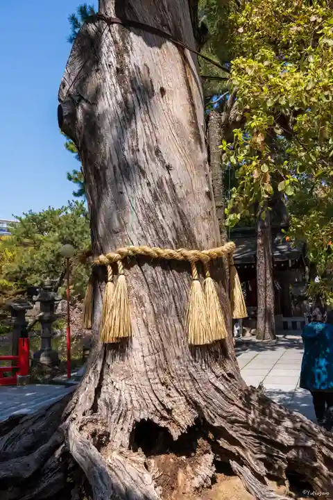 住吉大社(大阪府)