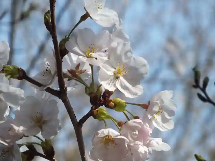 三上神社(滋賀県)